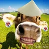 t.phuc20121219