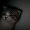 _xzsya0