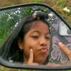 septi.yntsyh