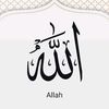 malik.salmanjaffa