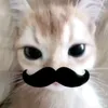 ️