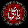 zahrarajpoot700