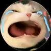 duongmanhhungdz