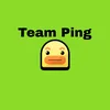 team.ping1