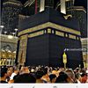 safali812