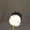 flowesss2