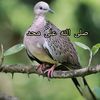 user2410681255424
