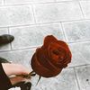 kholoud.ebrahim74