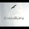 safiaadansugaal1