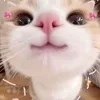 zoie_garinga09
