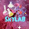 quisel_skylab