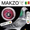 makzo.lite.pigeon