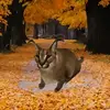 pipipipipipipipiska
