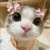 mamiwcuy