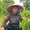 ni.yph.nyp