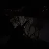 rashidspt0