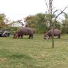 edithmacharia39