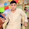 wshamzajan8