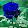 user8168614704720