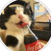 l.love.cat3