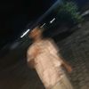 aa.vinzz