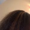 alana.com0803