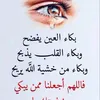 user43570075786