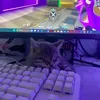 m1racleeer