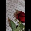 user4115881418632