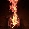 nur_alfisari