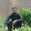 user68666747125905