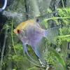 aquaandspace