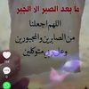 user442354075387302