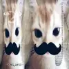 spimxo1
