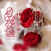 djazou02