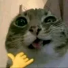 fffttt964io