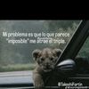 leobustamante_1