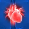 _heart___0