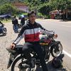 tiger.hasi.kayu