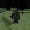 augxznt_ccb13