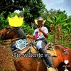 chuy.ahrellano