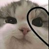 ambar_324