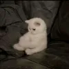 v_siw