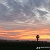 mir__370
