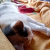 chiki5906