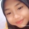pipin5259