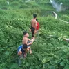 mom096321