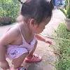 embemiu49