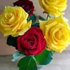 user2205633129770