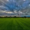 tommcgrath123